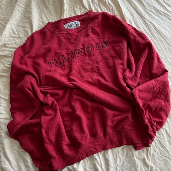 SALE💝 Vintage Illinois College/University Sweatshirt - Picture 1 of 4